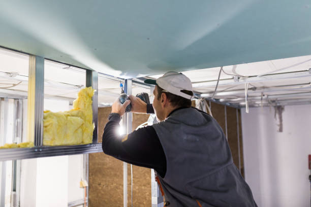 Best Insulation Maintenance and Repair in Hearne, TX