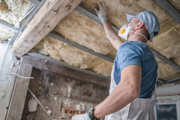 Types of Insulation We Offer in Hearne, TX