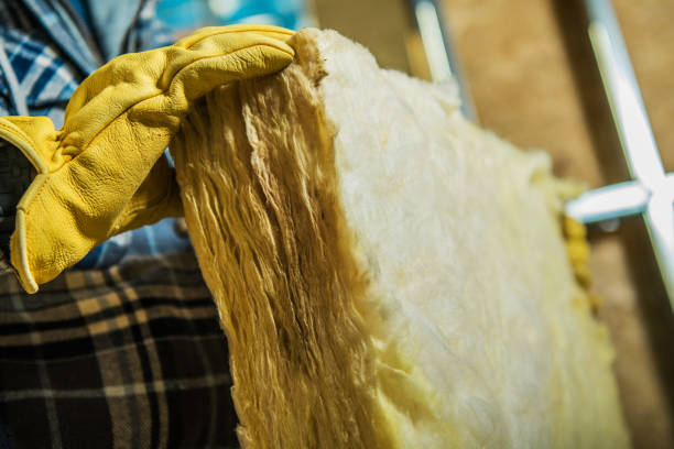 Best Eco-Friendly Insulation in Hearne, TX